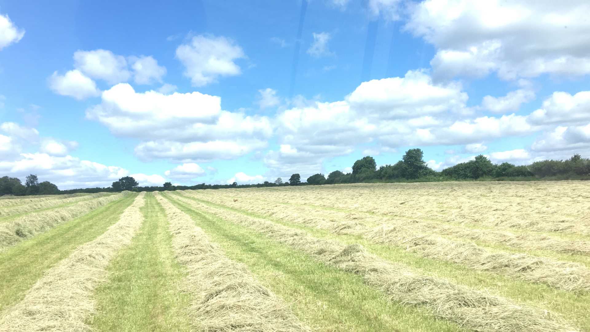Contact Us The Suffolk Hay Company