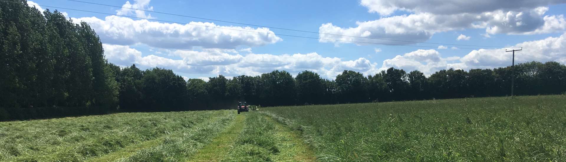 Silage For Sale The Suffolk Hay Company