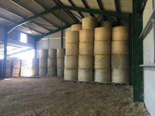 The Barn filling up